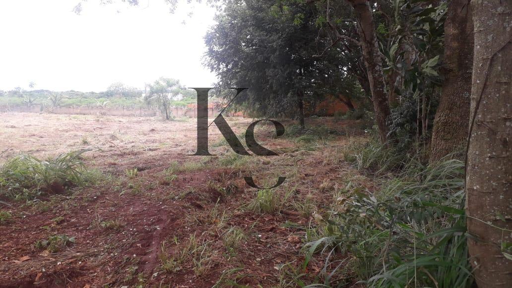 Chácara à venda em Jardinópolis, 2.500,00m² - Karen Sueta Creci 223363F / Bruno Amorim Advogados Associados