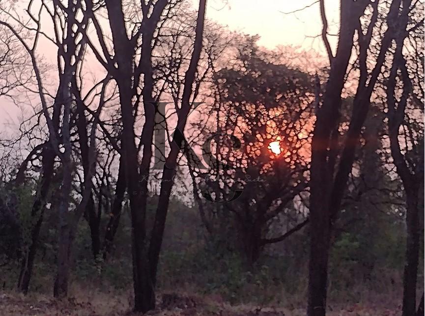 Chácara para Venda em Ribeirão Preto / SP no bairro Condomínio Portal dos Ipês - Karen Sueta Creci 223363F / Bruno Amorim Advogados Associados